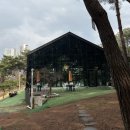 보령북로 | [보령]애견 동반 카페 소미안 후기, 소나무 숲 뷰 힐링 카페