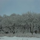 감나무골 - 김해시 김해대로 54-2 | 감나무골