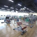 효자웰빙 스포렉스 이미지