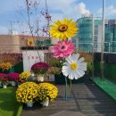 노송천노인복지관 이미지