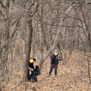 우면산3-33 이미지