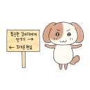 화이트래빗 네이버블로그