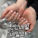 천안네일 잘하는 곳 추천 네일뮤트 이벤트 가격 솔직후기