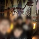 우석헌자연사박물관 | 남양주 공룡박물관 아이랑 가볼만한 실내 체험 우석헌자연사박물관 후기