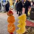 석영1호 이미지