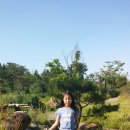 백송초밥 이미지