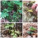 천지농장 이미지