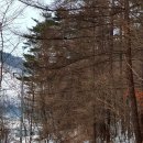 저산2리 이미지