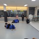 파이트체육관 | 울산 파이트짐 주짓수 즐거운 수업과 스파링 신정지부 후기