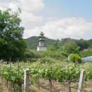 서부리 삼층석탑(西部里 三層石塔) 이미지