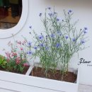 유남경 패션갤러리 이미지