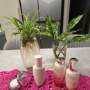 배춘 | 설화수 윤조에센스 120ml 리뷰 – 퍼스트 에센스 효과 완전 분석