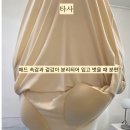 새미목욕탕 | 플러스 사이즈 브라캡 반팔티 추천, 임부복 추천