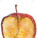 안도바디힐링