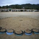 창촌초 운두분교장 네이버블로그