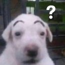 호크마 학원 | 내래 가나디라우