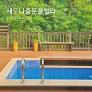 내돈내산 제주도 서귀포 감성숙소 세도나 중문 풀빌라 후기