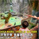 미진구내매점 | 주렁주렁 동물원 하남점, 아이가 좋아하는 스타필드 옆 실내 동물원 방문후기