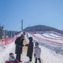 대관령초등학교 이미지