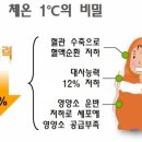 온담온열방 네이버블로그