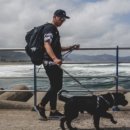 헬로동물병원 이미지