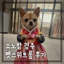 펫라운지(PET LOUNGE) | 소노캄 경주｜펫 스위트룸 후기_애견동반 준비물 정리 필독🐶치와와 밤비와 함께한 경주여행