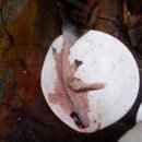 윤호민박 이미지