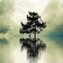 한중행정사 이미지