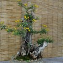 여주자영농업고등학교 이미지