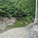 꿈꾸는뜨락 이미지