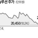 美 태양광도 보조금 한화큐셀 OCI 웃는다 기사 이미지