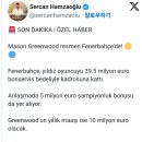 초록나무 to 페네르바체 이미지