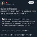 근데 그럼 I들은 친해지고 싶은 사람이 있어도 접점이 없으면 결국 안 친해진 채 그냥 이별해여?.twt 이미지