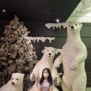 [ 대구 두류 ] 이랜드 자유이용권 + 전망대 :: 평범하지만 특별하게 놀기 데이트코스로 즐길 거리들