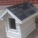 전원애견 이미지