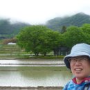 인동할매민박 이미지