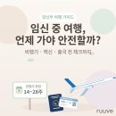 자동차종합병원 | 임신 중 여행, 언제 가야 안전할까?비행기·자동차·해외까지, 안심하고 다녀오는 임산부 여행 가이드
