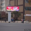 피알그리다 이미지