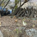 강화쑥쑥 2 이미지