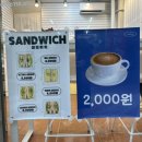 모니샌디치