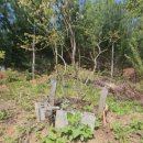 박종상농장 이미지