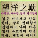 송사리 이미지