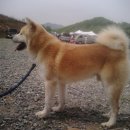 대용 농장 이미지