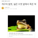 개구리 암컷, 싫은 수컷 다가오면 죽은척 이미지