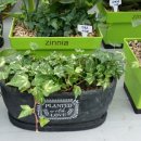 가람농원 이미지