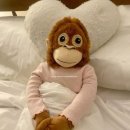 애드넷 | 초보 블로그 10일만에 애드포스트 승인 후기 | 조건 방법 광고 위치 총정리