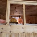 구암2리 (샛터)  마을회관 | 어버이날 엄마 보러갔다 조우한 소쩍새? 부엉이?