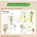 토마토도시락 함안점 | 과일은 품종이다 라는 메시지가 파일 전체 톤과도 일치 - 딸기·포도·복숭아·감귤, 이제는 브릭스로...