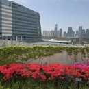 정부세종청사 국세청점 | 🌿 정부세종청사 옥상정원 방문 후기 (4월 21일)