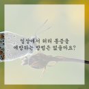 맑은누리한의원 | 허리통증, 이거 정말 무시 못 할 수준인데요?